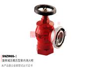 旋轉減壓穩(wěn)壓型室內消火栓-SNZW